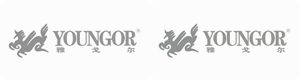 雅戈尔